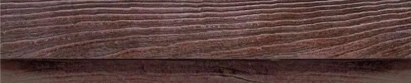 Palm Leaf