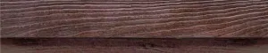 Palm Leaf